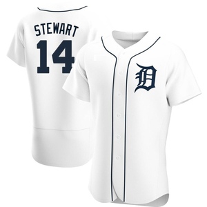 2021 Detroit Tigers Christin Stewart #20 Game Issued Grey Jersey 46C DP37583